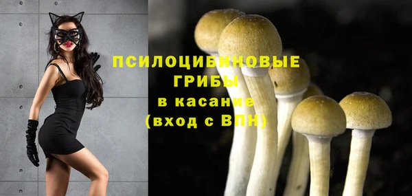 мяу мяу кристалл Медвежьегорск